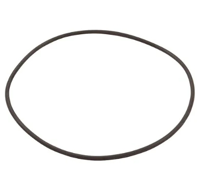 Hayward Replacement Lid O-Ring For SwimClear C150S Cartridge Filter (CXFHR1001)