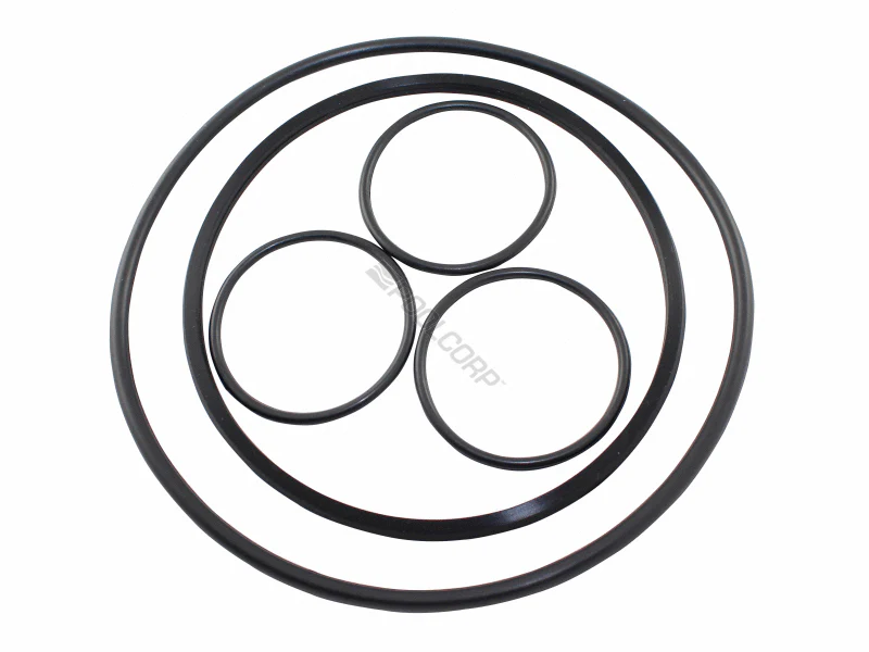 Hayward Replacement O-Ring Kit for VL Series (VLX4004A)