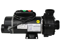 Hot Spring Replacement Jet Pump, 2.5HP, 2 Speed, 230V, 60Hz (73023)