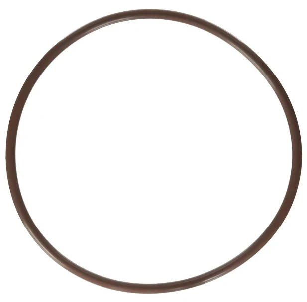 Pentair Replacement High Capacity Viton O-Ring for In-Line Chlorinators (R172240Z)