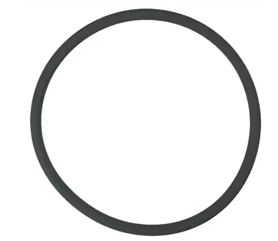 Pentair Replacement Lid O-Ring for Rainbow Model 320 & 322 In-Line Chlorinators (R172009Z)