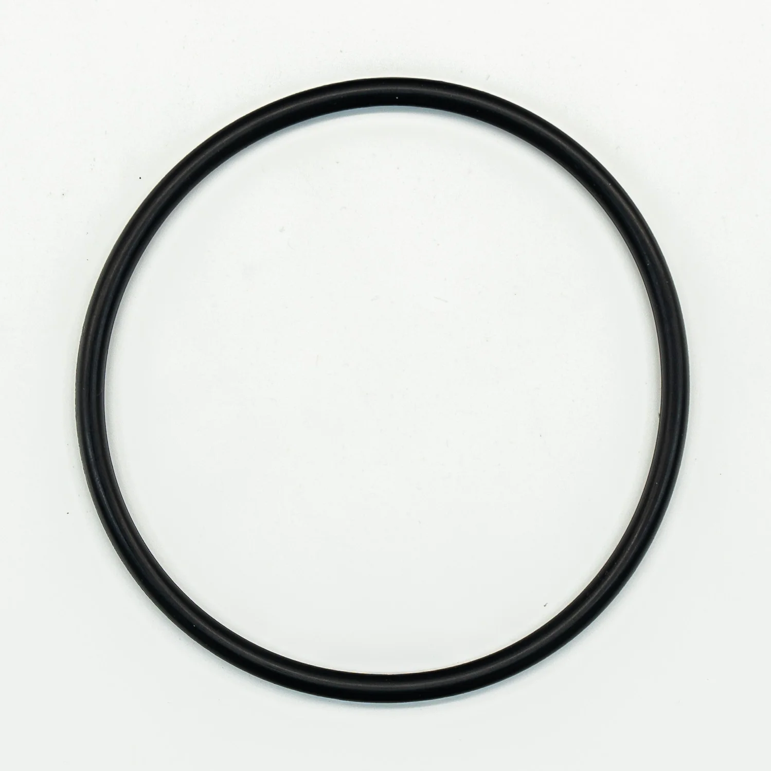Speck Pump Replacement Strainer Lid O-Ring, 4" Lid (O-15-49)